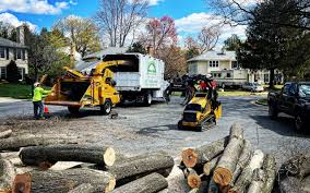 Best Lot and Land Clearing  in West Kittanning, PA